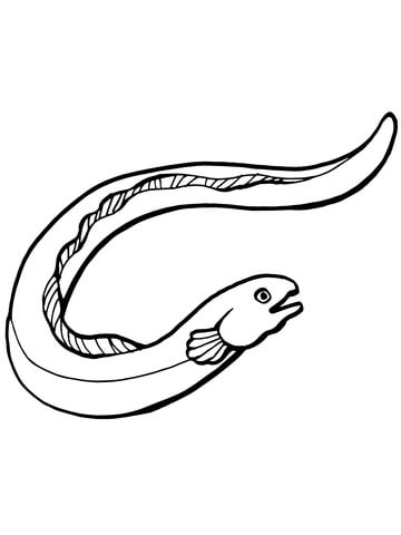 Eel Fish Coloring Page